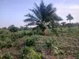 8 Acres of Land for Sale in Kwahu Afram Plains South - 2