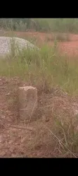 Residential Land for Sale in Domenase, Kumasi - 2
