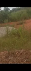 Residential Land for Sale in Domenase, Kumasi - 3