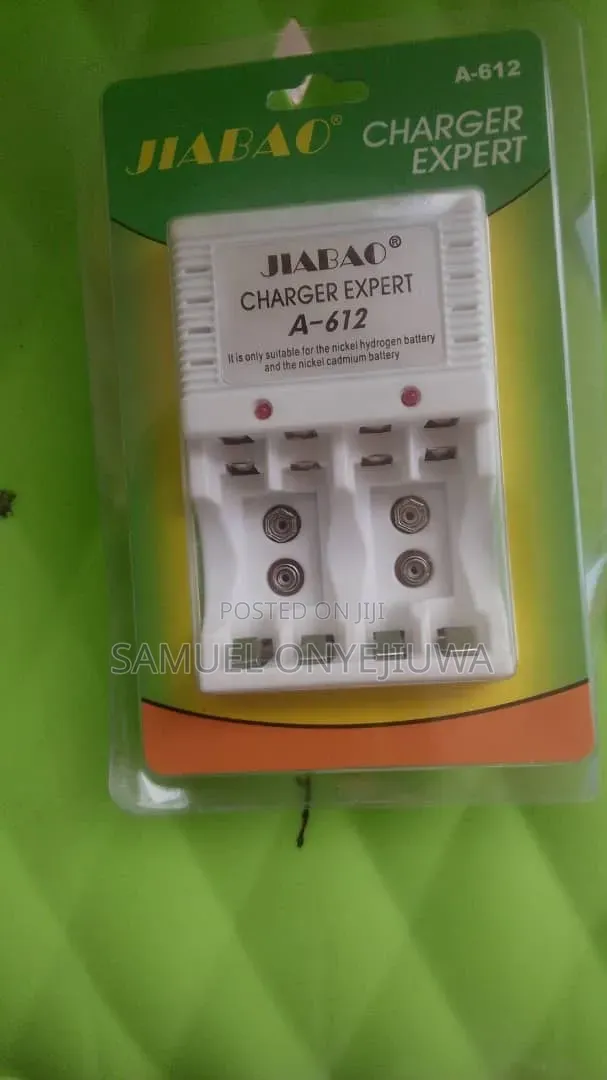 Alkaline Battery Charger - 1
