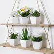 Set of 6 Artificial Plant Bonsai - 1