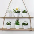 Set of 6 Artificial Plant Bonsai - 2