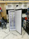 Nasco Standing Freezer 242L - 2