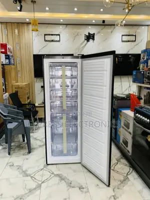Nasco Standing Freezer 242L