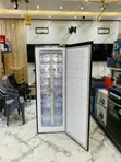 Nasco Standing Freezer 242L - 1