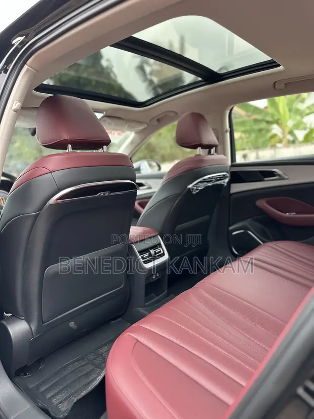 New Hongqi E-HS9 Premium 2025 Black - 1