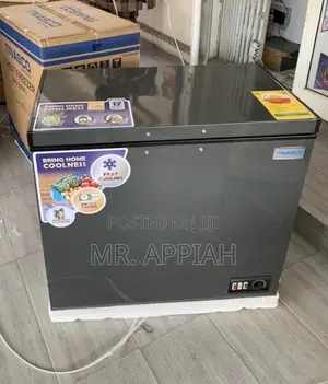 Super Affordable Nasco 200L Single Door Electric Chest Freezer (Gray)