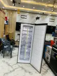 Nasco Standing Freezer 242L - 2