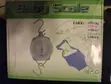 Analog Baby Weighing Scale (Up to 25kg) - 2