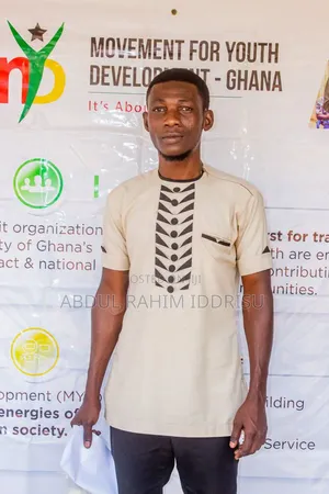 Young Professional CV - Analytical Mindset