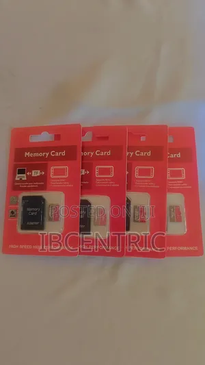 1TB SD Card