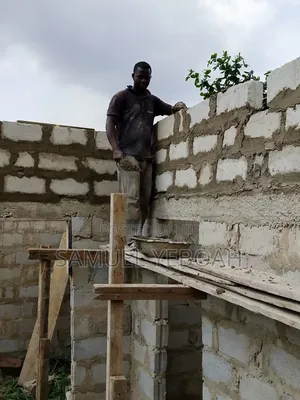 Professional Mason & Carpenter