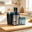 Large Caliber Automatic Electric Juicer - 2