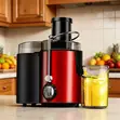 Large Caliber Automatic Electric Juicer - 4