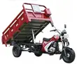 Brand New 2026 Blue 200cc Cargo Tricycle - 2