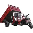 Brand New 2026 Blue 200cc Cargo Tricycle - 3