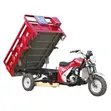 Brand New 2026 Blue 200cc Cargo Tricycle - 4