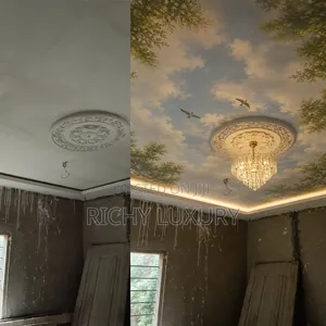 3D Ceiling Murals - Custom Designs