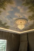 3D Ceiling Murals - Custom Designs - 3