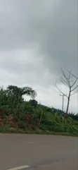 Roadside Land for Sale in Aburi - 4