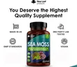 Pure Irish Sea Moss Complex - 3