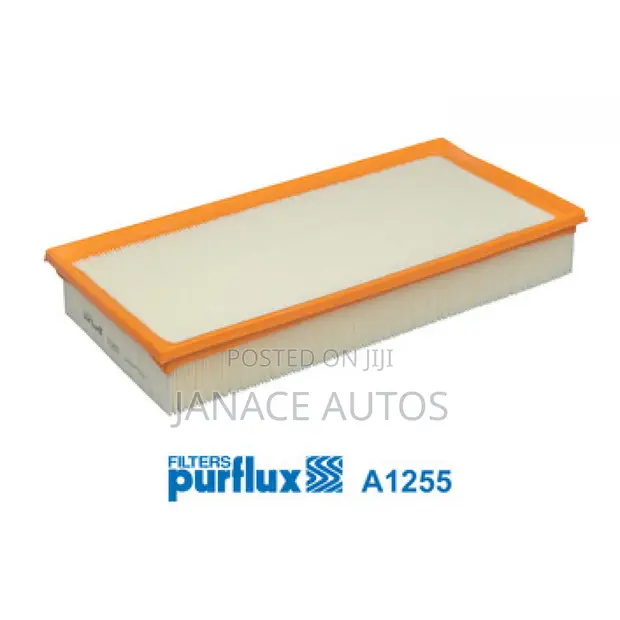 Audi Q7, Range Rover, Cayenne, Touareg Air Filter Purflux A1255 - 1