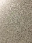 Textured Wall Coating (Tyrolean Finish) - 4