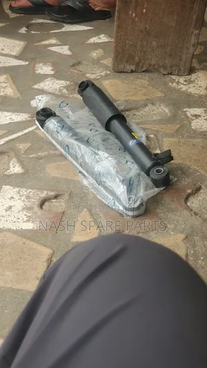 Hyundai Santa Fe 2012-2016 Rear Shock Absorbers