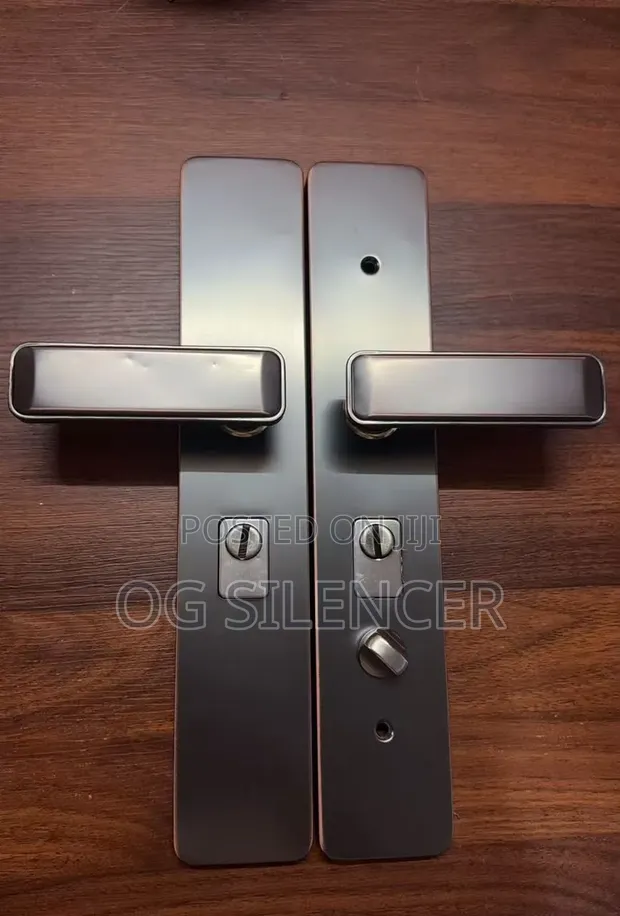 Paladin Stainless Steel Security Door Handle - 1