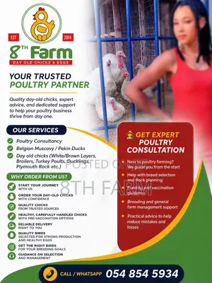Day Old Chicks & Poultry Farming Consultancy