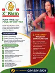 Day Old Chicks & Poultry Farming Consultancy - 1