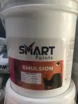 Smart Emulsion Paint - Interior - 1
