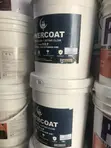 Rivercoat POP Paint - 1