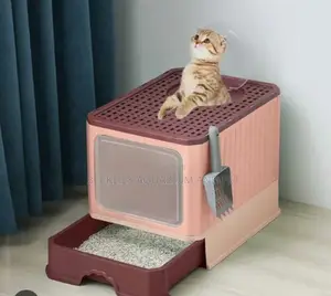 Pink Cat Litter Box with Lid