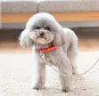 Heavy Duty Stainless Steel Dog Leash Chain with Red Nylon Handle - 4