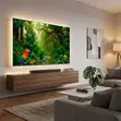 ASANO 65” Smart Android TV (Ultra HD) - 1