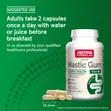 Jarrow Formulas H Pylori Be Gone! Vegan Mastic Gum 60 Veggie Caps - 4