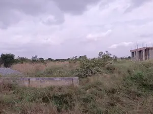2 Plots of Land for Sale at Odumse, Afienya-Dodowa Road