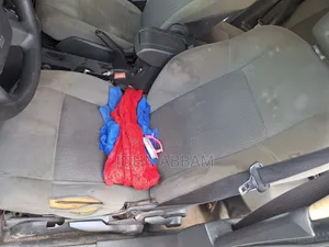 Interior Car Cleaning Service
