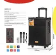 Acemic 12-inch Bass Speaker with Rechargeable Battery - 2
