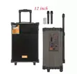 Acemic 12-inch Bass Speaker with Rechargeable Battery - 3