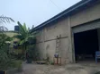 Warehouse for Rent - Ablekuma Canada Junction - 3