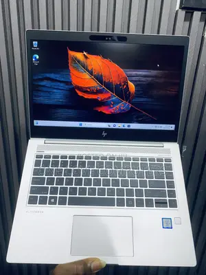 HP EliteBook 1040 G4 Laptop - Intel Core i5, 8GB RAM, 256GB SSD