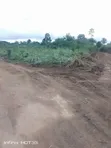 Estate Land for Sale at Bibiani - 5