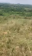 Land Plot for Sale at Akoti & Nyanyano - 3