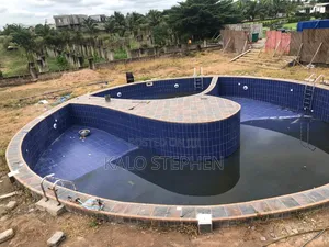 Professional Swimming Pool Contractor