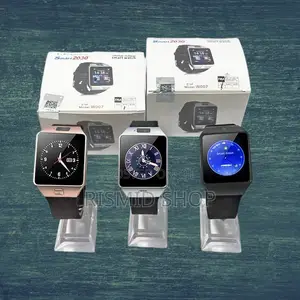 Smartberry 2030 Lifestyle Smartwatch with SIM Slot