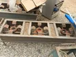 Commercial Local Cooker - 2-in-1 & 3-in-1 - 4