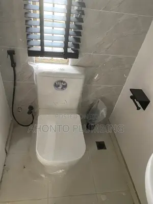 Professional Toilet Installation Services