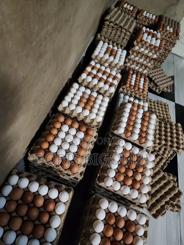 Fresh Farm Eggs - Wholesale & Retail - 1